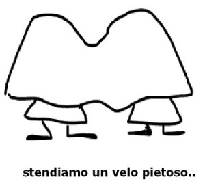 Il velo pietoso