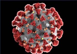 Immagine Corona Virus